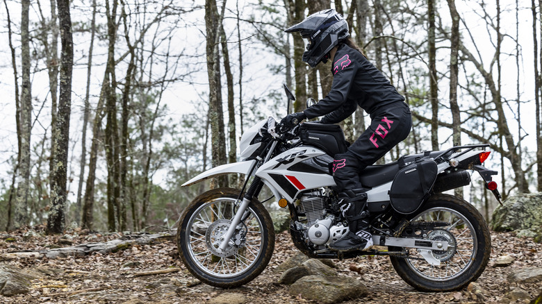 2023 Honda XR150L on dirt