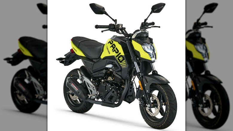 CFMOTO Papio