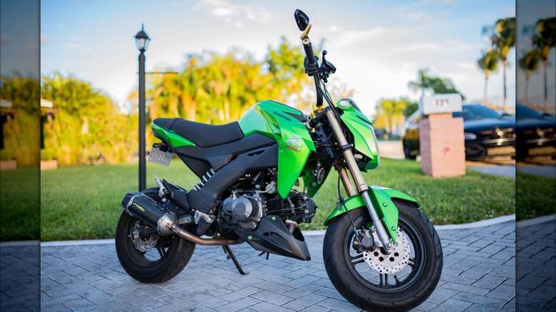 Kawasaki Z125 Pro