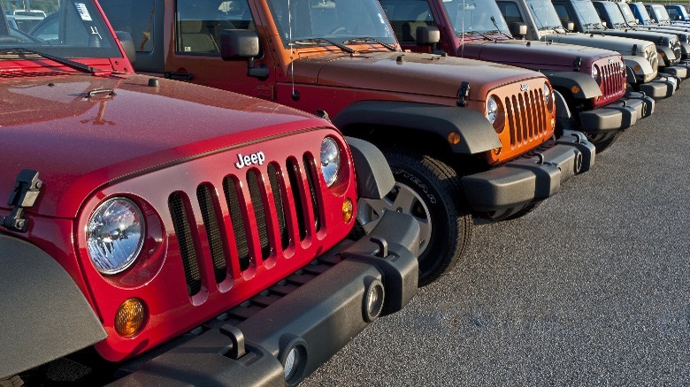 Jeeps lined up