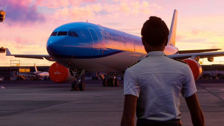 Pilot looking at large commercial airliner