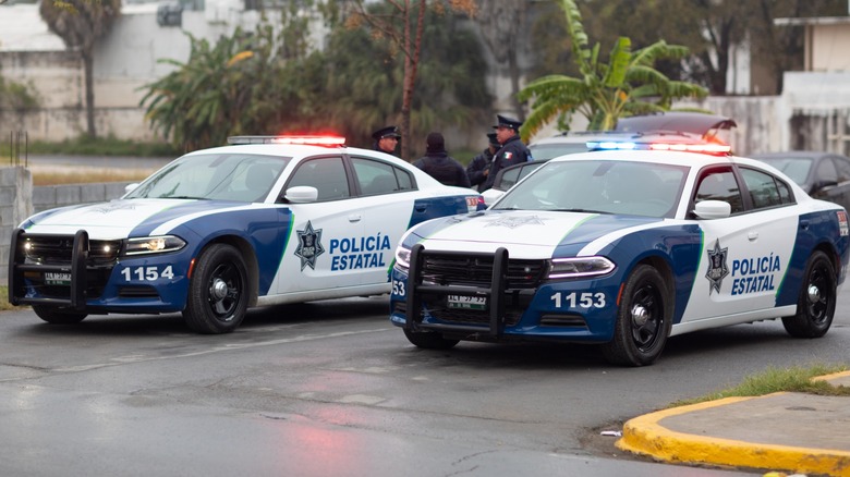 Dodge Charger Pursuit vehicles