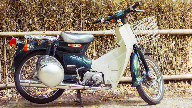 Honda Super Cub parked in front of a bamboo grove