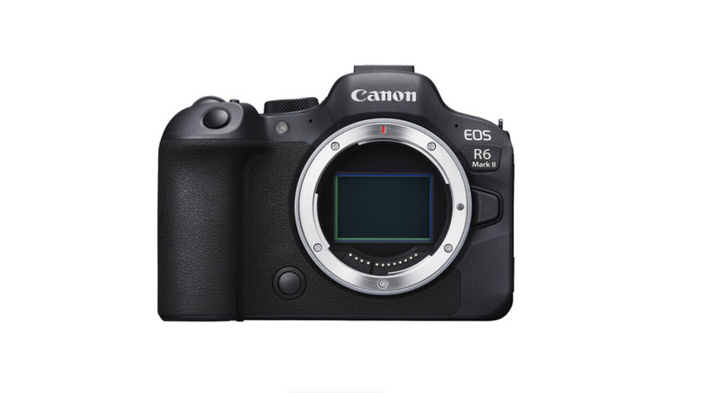 Canon EOS R6 Mark II 