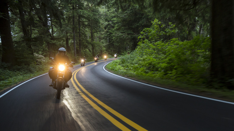 motorcycle riders in forest