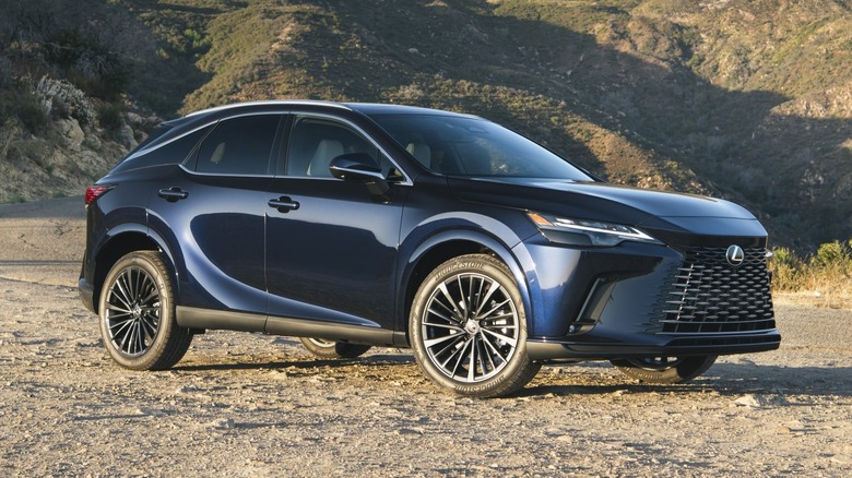 Lexus RX 350 on dirt road