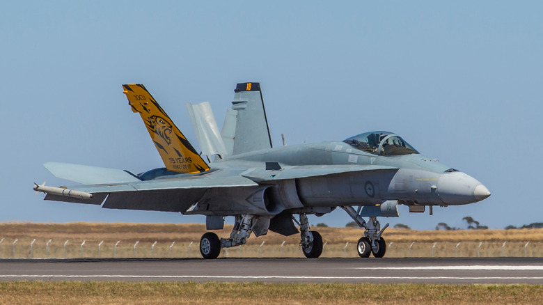 Classic F-18 Hornet fighter jet on display with Tiger tail paint scheme.