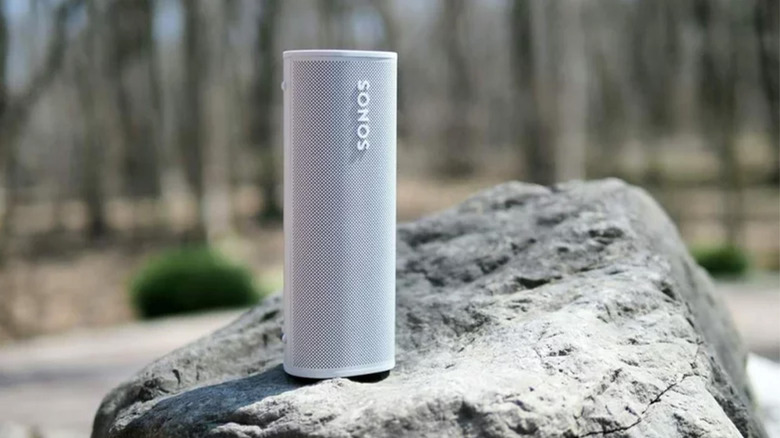 A gray Sonos Roam on a rock outside