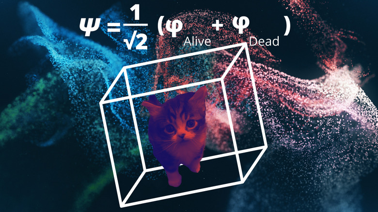 Schrödinger's cat