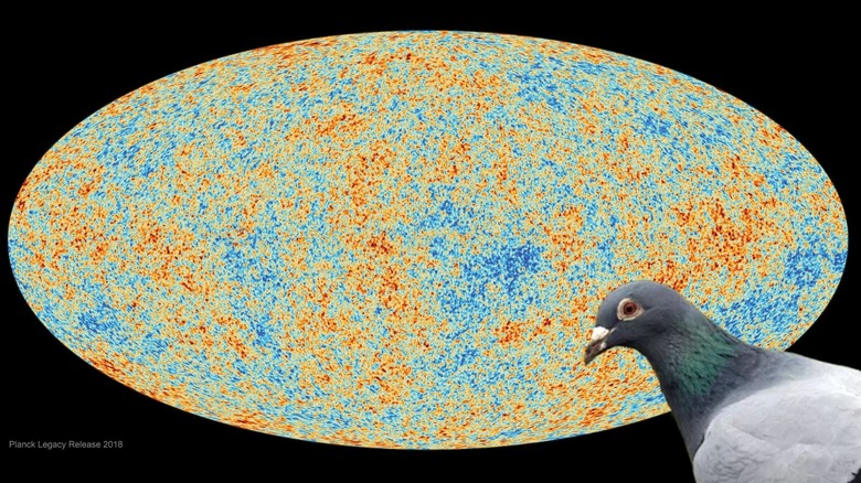 cosmic microwave background