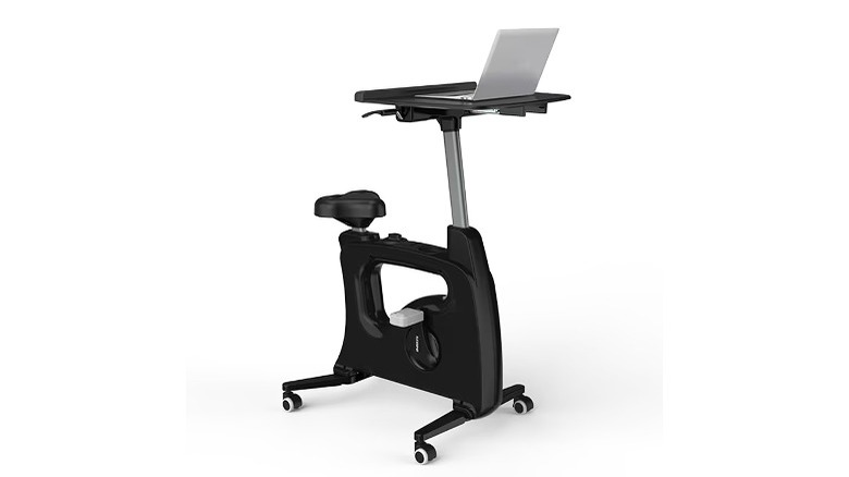 Flexispot Adjustable Desk Bike