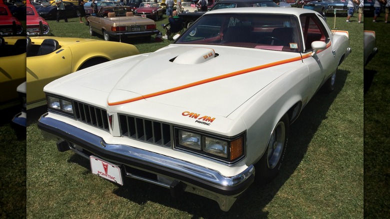 1977 Pontiac Can Am parked on grass