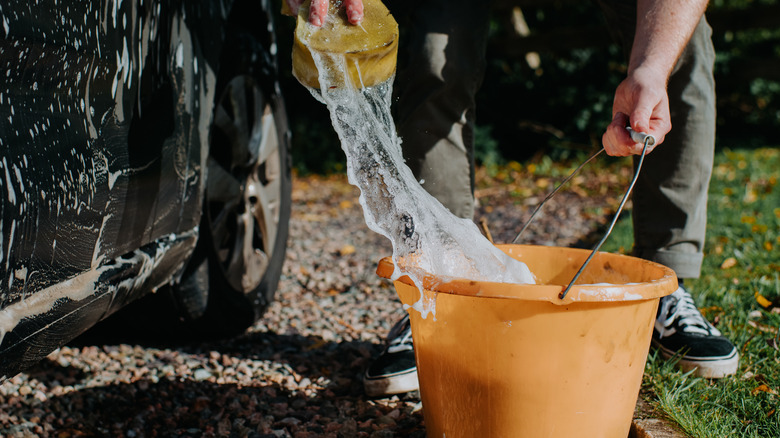 Driver washing car with soap bucket and sponge