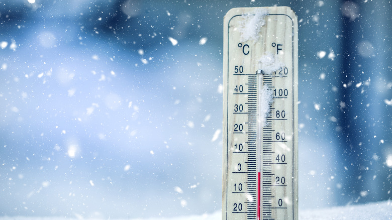 Thermometer showing low temperature in the snow