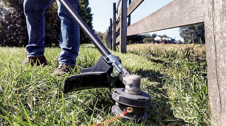 Ryobi string trimmer cutting grass