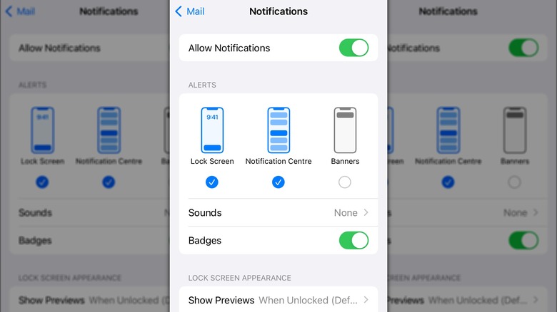 A screenshot of the Notification settings in the iPhone's Mail app