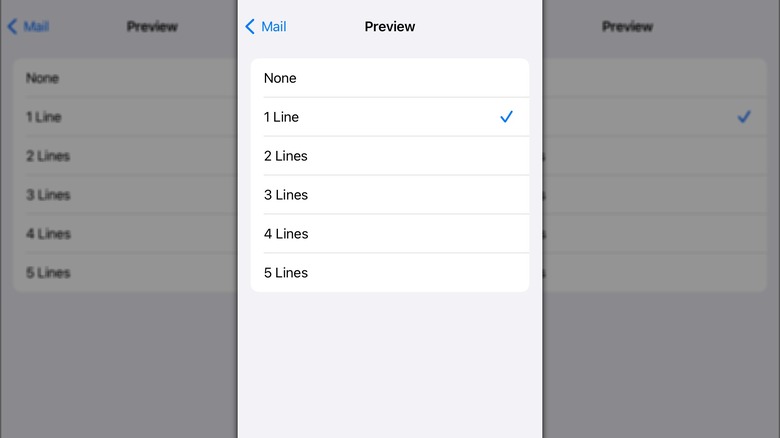 A screenshot of the Preview length options in an iPhone