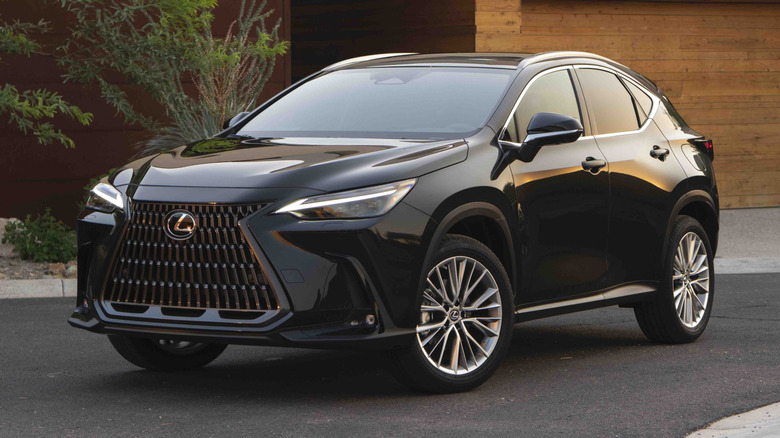 2025 Lexus NX in Caviar