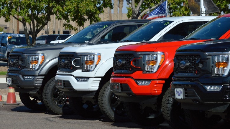 ford f-150s in a row