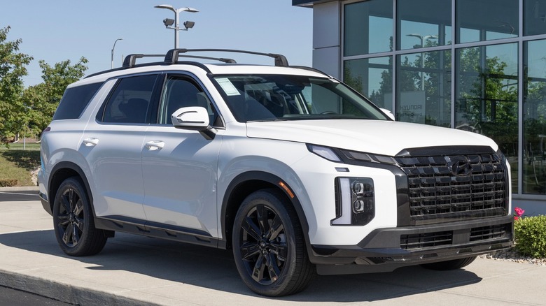 White Hyundai Palisade