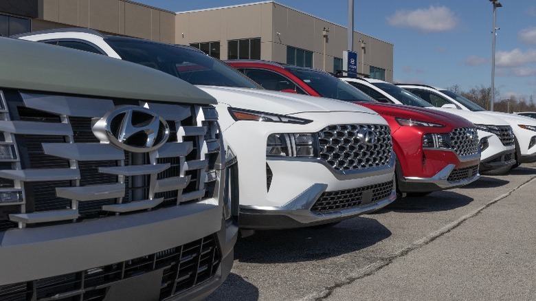 Hyundai Palisades in a row