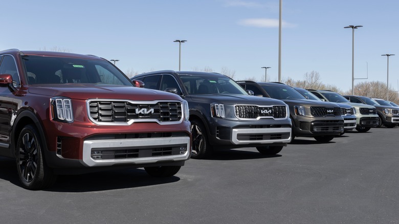 Several Kia Tellurides on display