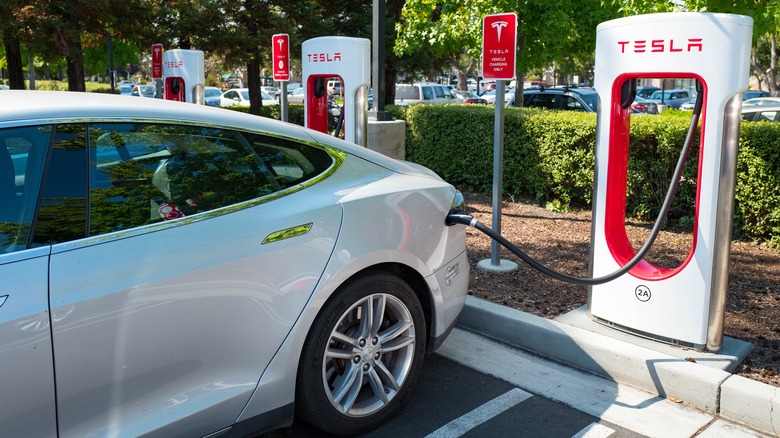 A white Tesla plugged in and charging