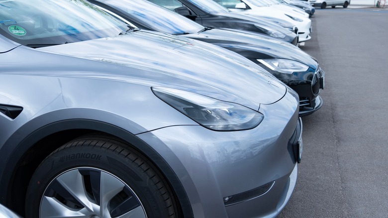 Teslas lined up in a parking lot