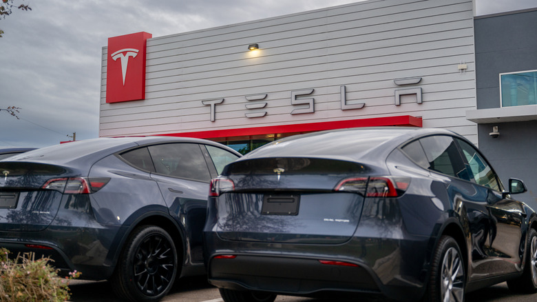 Teslas lined up in a parking lot