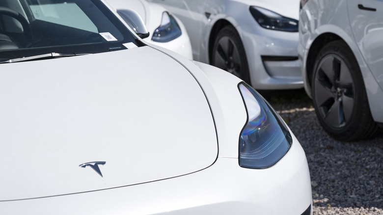 White Tesla model 3 cars parked in a public space