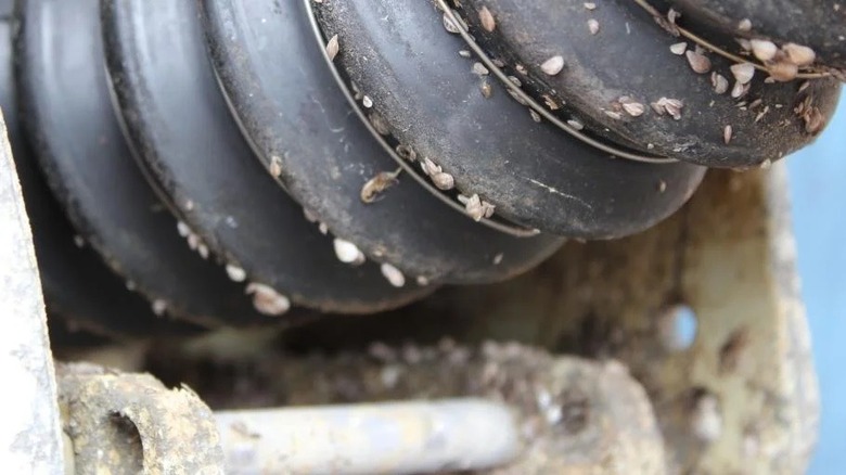 Close up of boat bellows