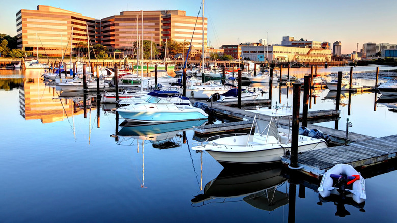 Boats in a marina