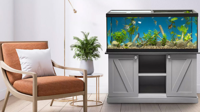 An aquarium next to a chair in a living room