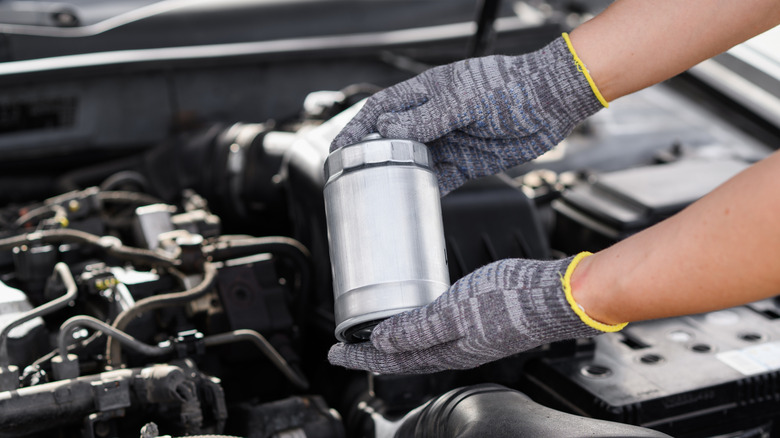 Mechanic holding fuel filter for diesel engine