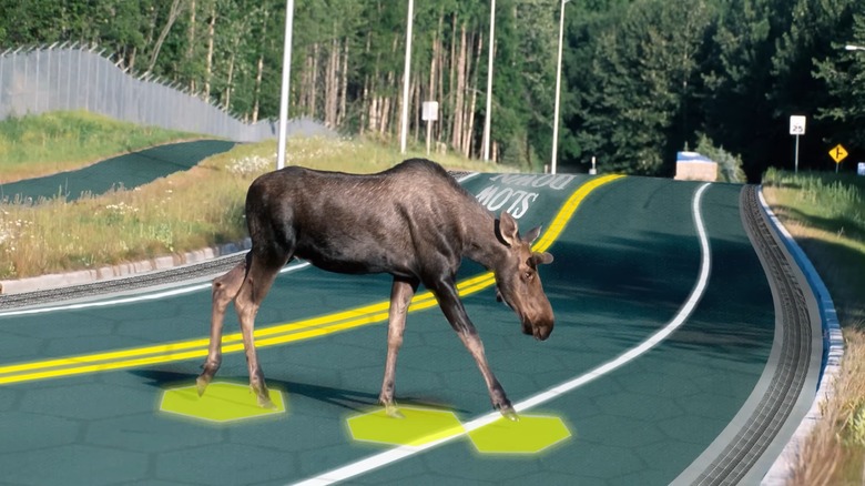 solar roadways mockup moose