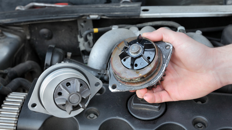 Car mechanic replacing water pump of modern engine