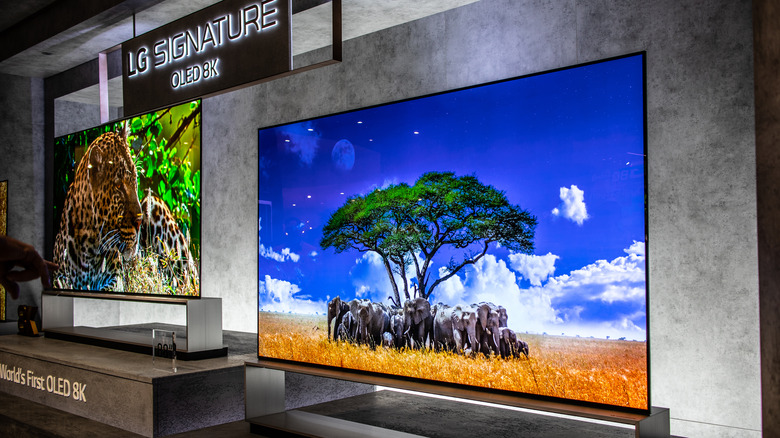 lg oled televisions