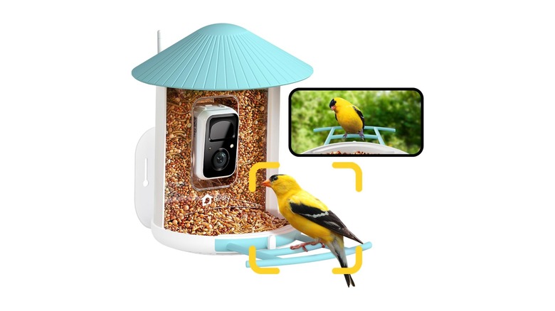 AI bird feeder