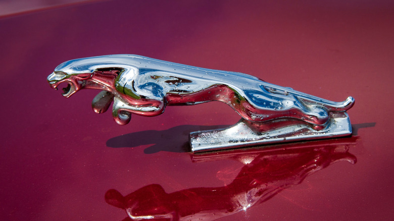 Silver Jaguar statuette on hood of red Jaguar car