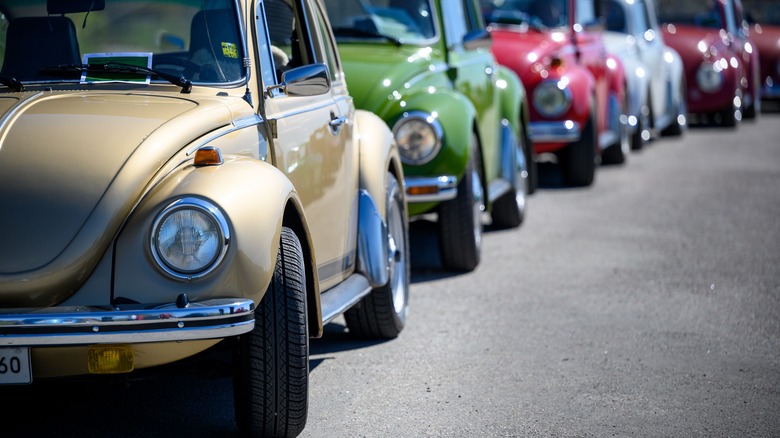 Row of VW Beetles on a street