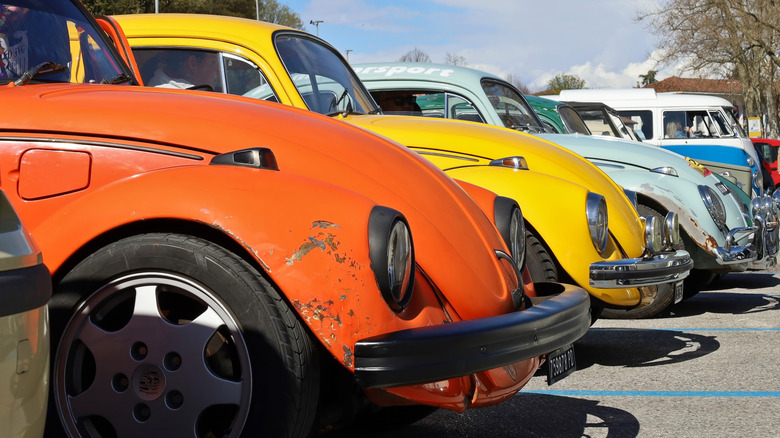 A row of Volkswagen Beetles