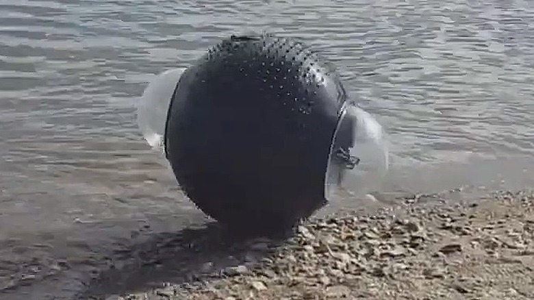 Guardbot on beach