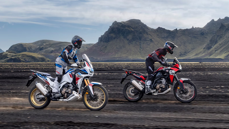 Two Honda Africa Twin DCTs in motion
