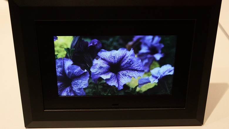 A digital picture frame