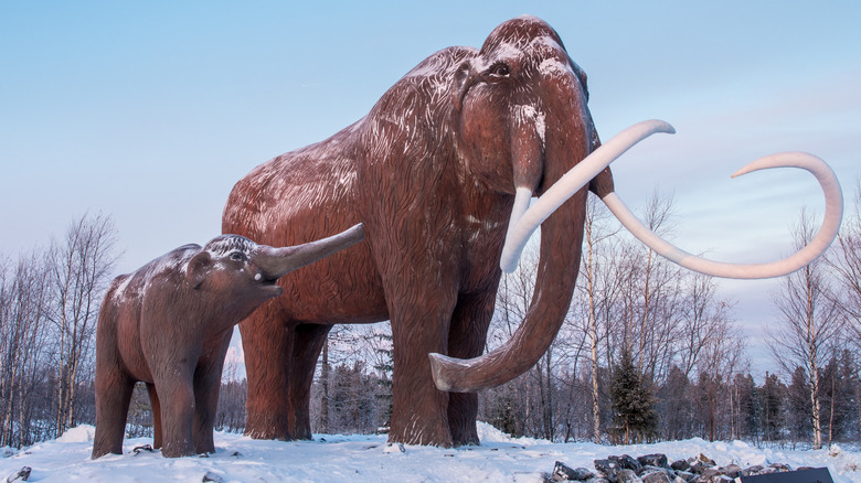 Woolly mammoths