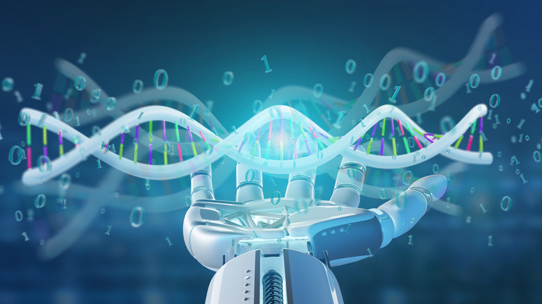 DNA robot