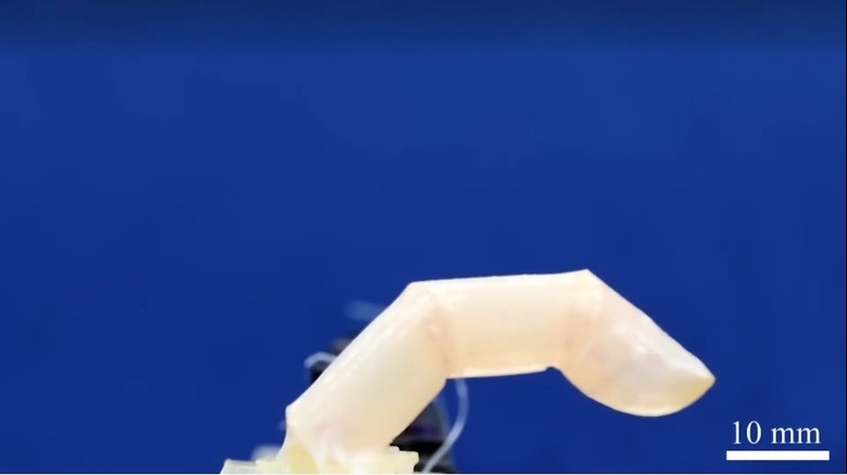 Human skin on robot finger