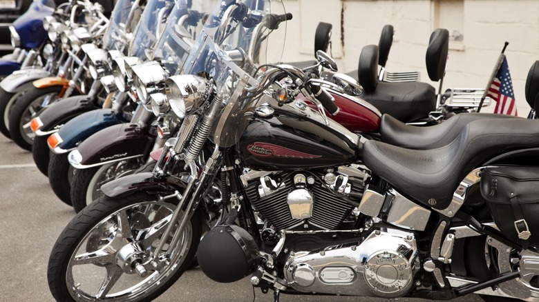 row of Harley-Davidson motorcycles