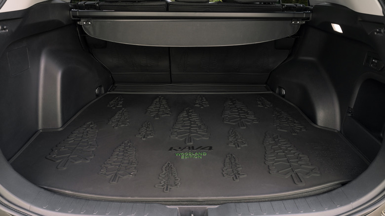 2025 RAV4 Woodland Edition Cargo Area