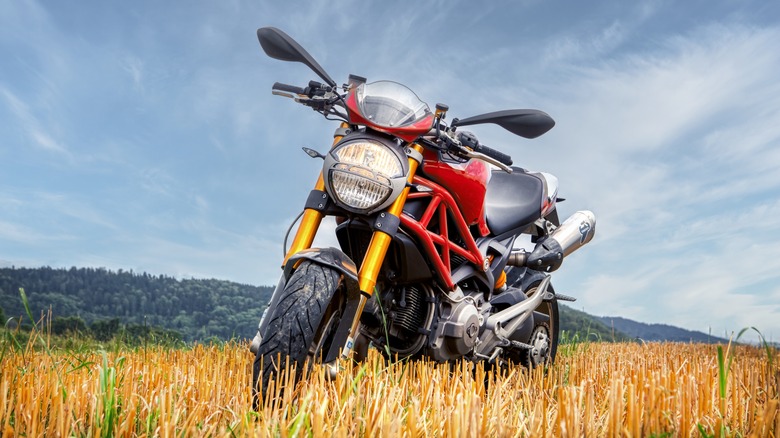 Ducati Monster Motorbike in field
